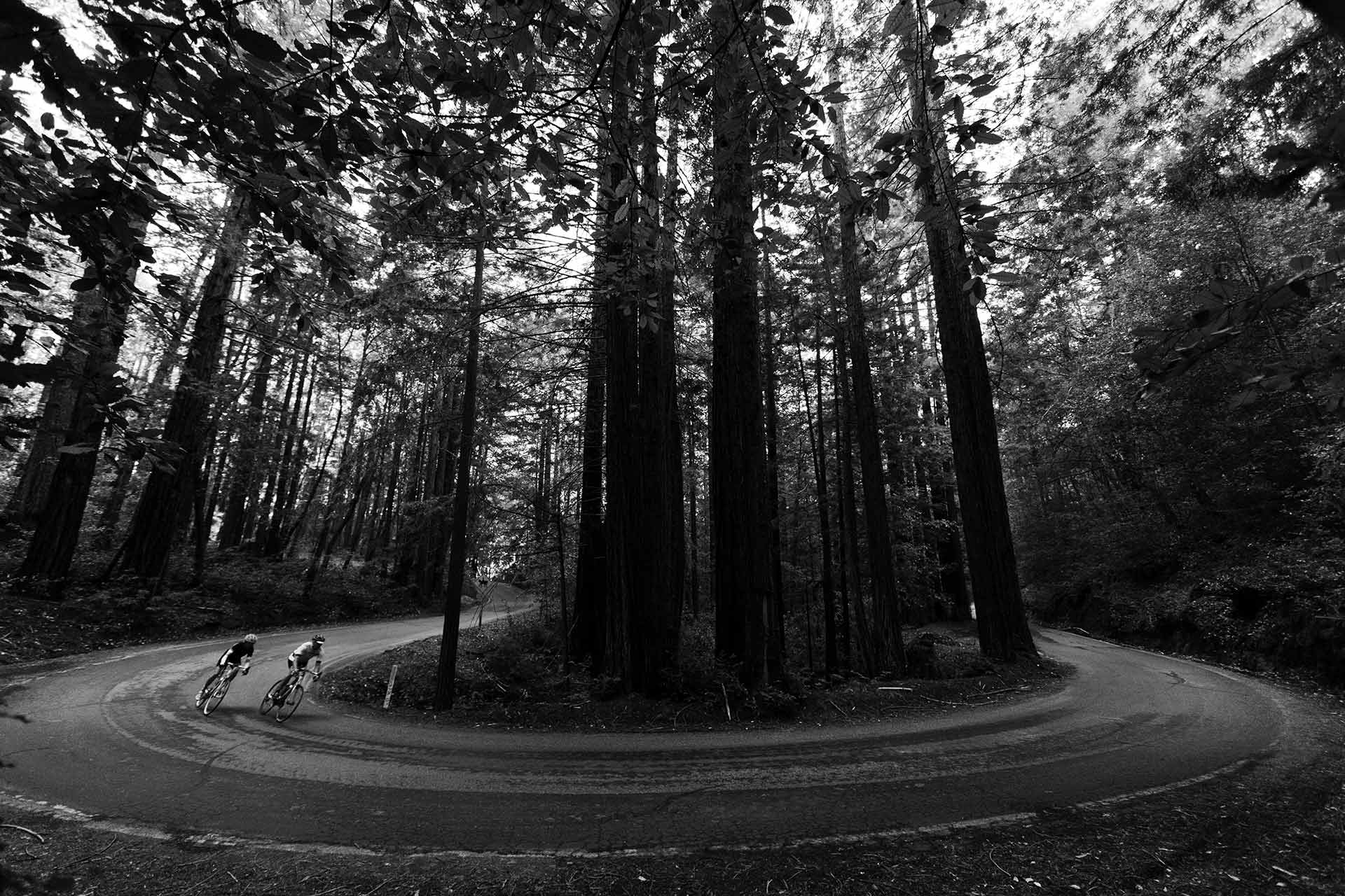 Bikers in a forest